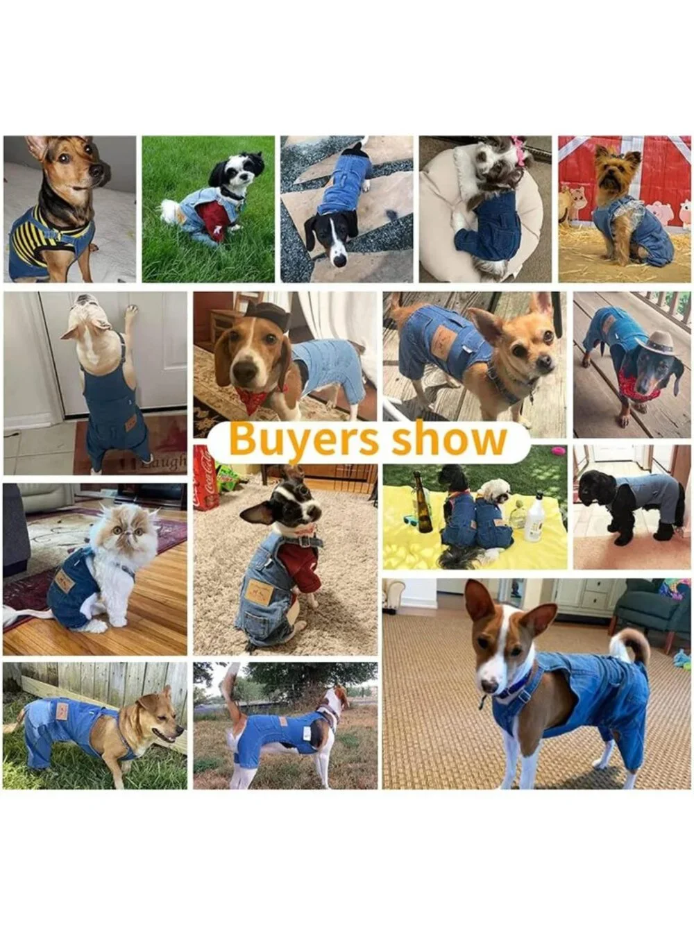 Stylish Dog Overalls for Small Dogs | Denim Outfit for French Bulldog & Pug
